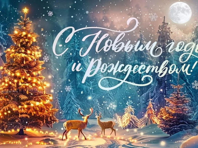 С Новым годом и Рождеством!